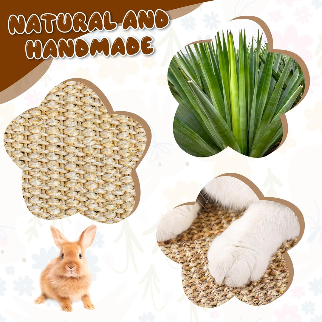 2 Stück Sisal Kratzmatte für Kaninchen, 50×25cm Selbsthaftender Hanfmatten für Nager Haustierkäfig B