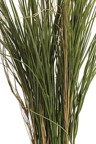 artplants.de Kunstgras Schilfgras Delsin, crossdoor, grün-braun, 80cm - Deko Grasbüschel
