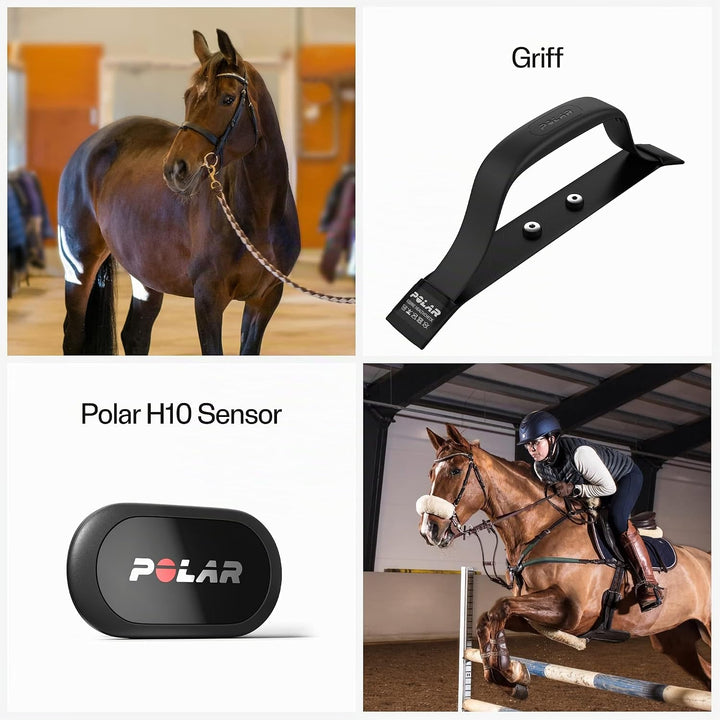 Polar Equine Healthcheck - Pferde, Reitsport- Griff mit H10 Herzfrequenz-Sensor