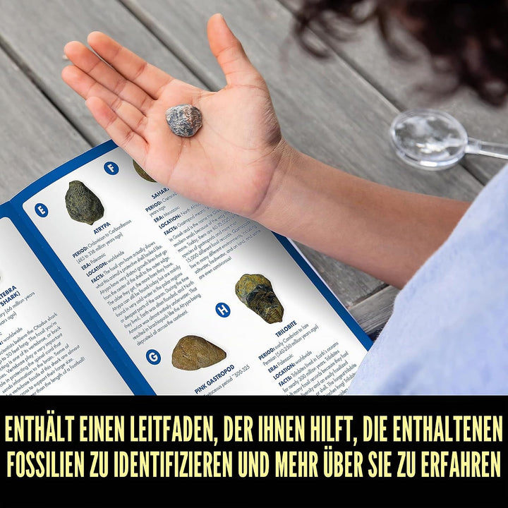 Learning Resources GeoSafari Fossilien-Ausgrabungsset
