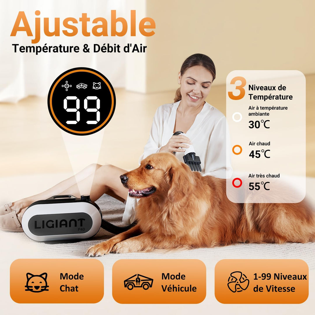 P40 Hundefön Blower, Ultra-Leise (40 dB Katzen-Modus), 3-in-1 Düsen, Einstellbare Geschwindigkeit &
