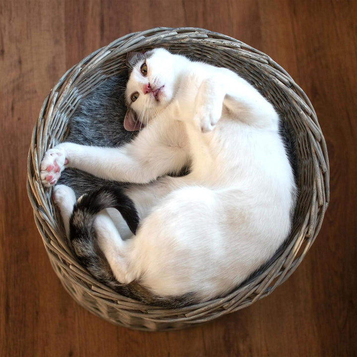 UNUS Katzenkörbchen, Katzenkorb, Katzenturm aus Rattan in Grau