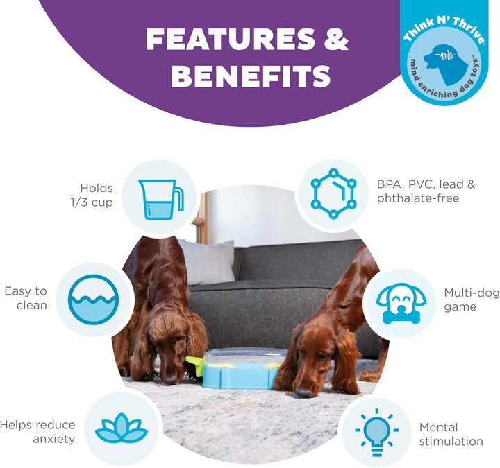Outward Hound Nina Ottosson Paw N&