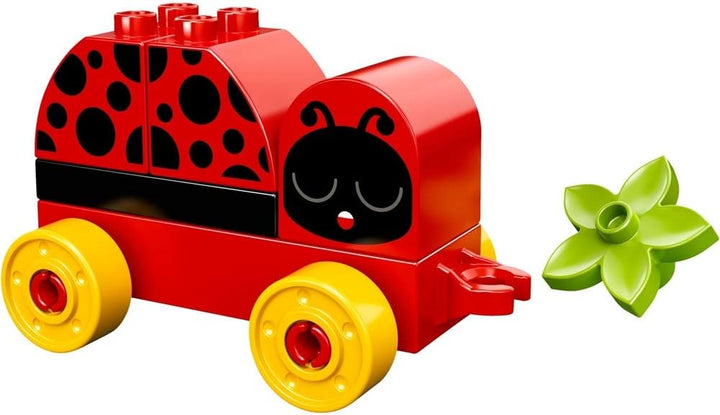 Lego Duplo 10859 Mein Erster Marienkäfer - Erste Bauerfolge, Spielzeug, Bunt Spielzeug Single, Spiel