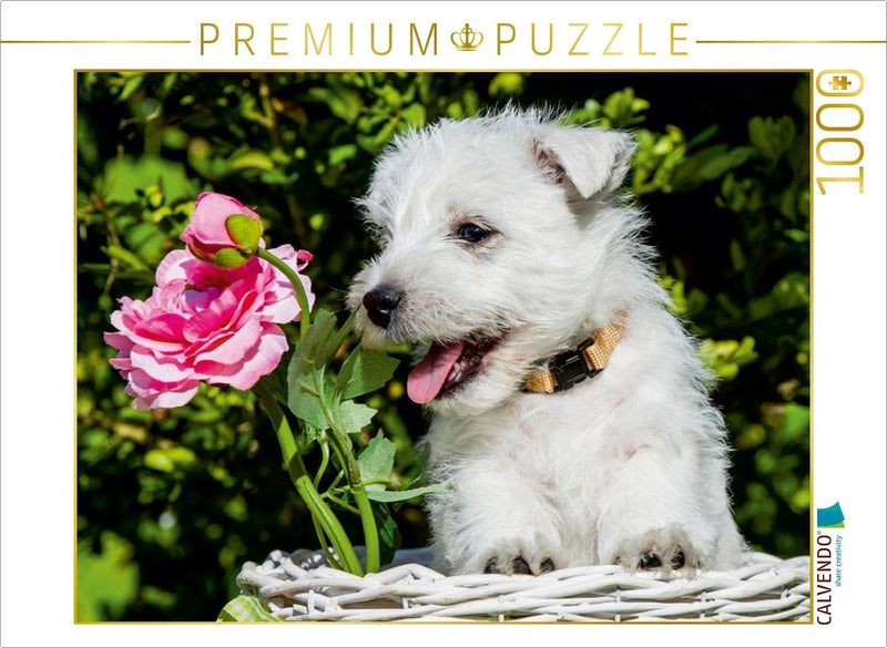 CALVENDO Puzzle Kobold auf 4 Pfoten - West Highland White Terrier 1000 Teile Lege-Grösse 64 x 48 cm