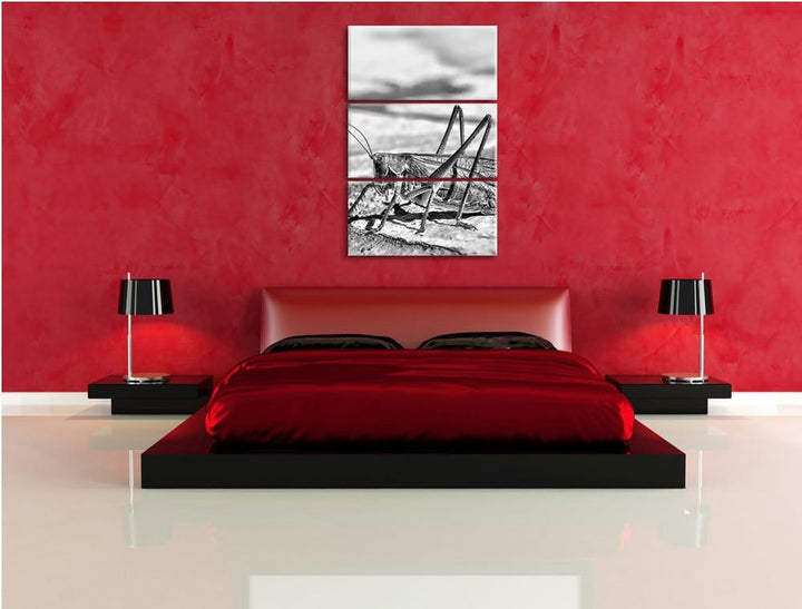 Pixxprint Elegante Heuschrecke als Leinwandbild/Grösse: 3 Teilig (120x80) cm/Wandbild/Kunstdruck/fer