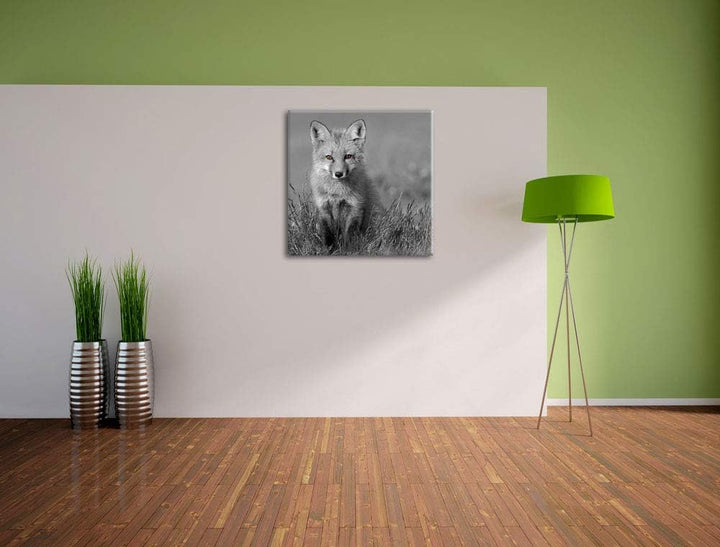 Pixxprint Kleiner süsser Fuchs auf Wiese als Leinwandbild/Grösse: 70x70 cm/Wandbild/Kunstdruck/ferti