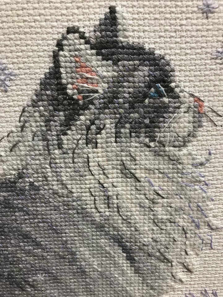 Riolis 1912 Kreuzstich Set, Mehrfarbig, 24x30cm