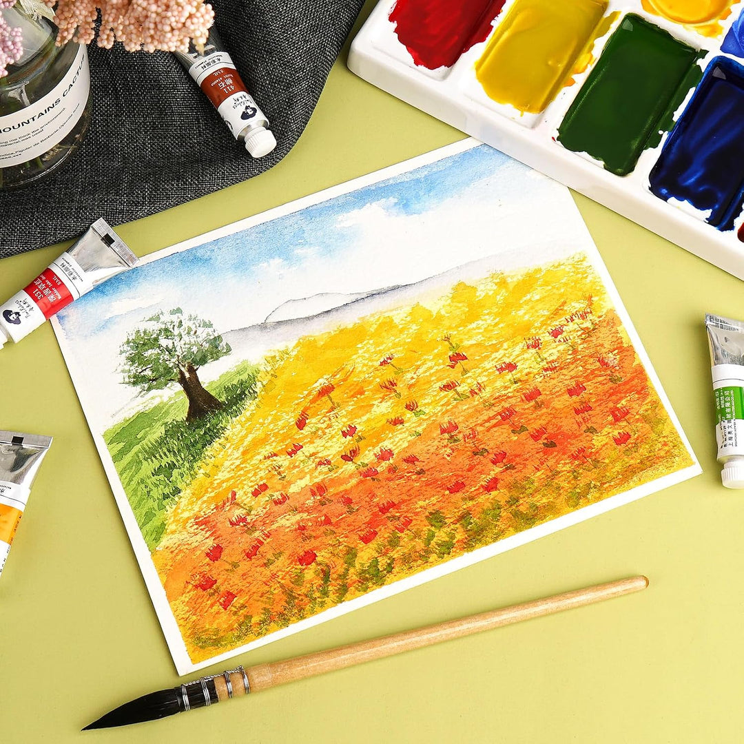 Paul Rubens Aquarellfarben, 36 Farben x 5 ml Tuben Caroline Studenten Wasserfarben mit Aufbewahrungs