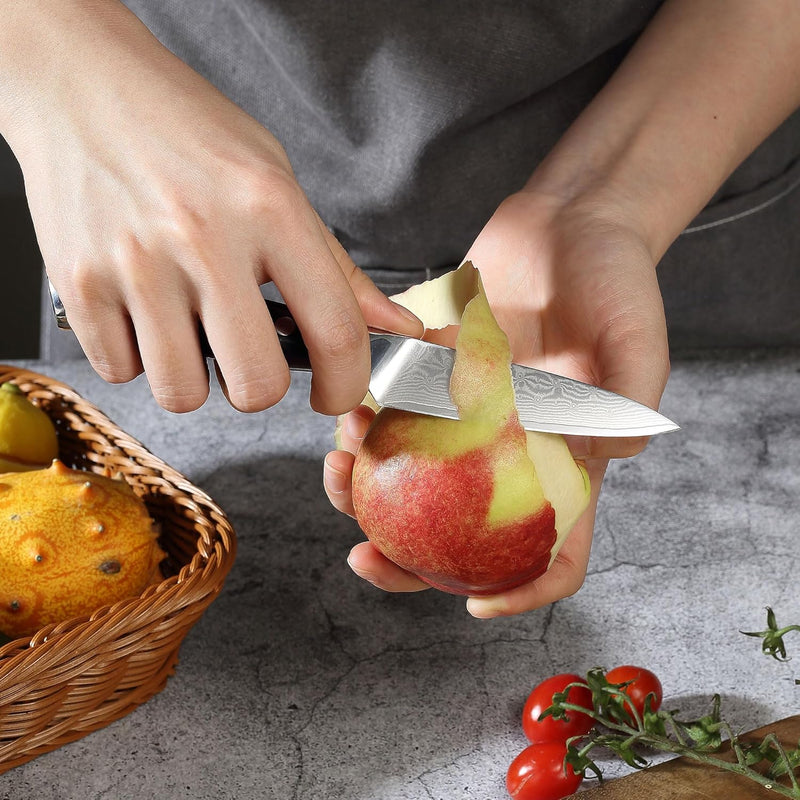PAUDIN Damastmesser 9 cm – Gemüsemesser Schälmesser Obstmesser – VG10 Profi-Küchenmesser mit schwarz