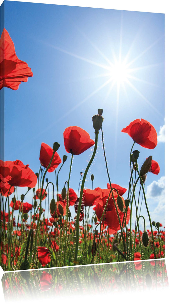 Pixxprint Mohnblumen, Format: 100x70 auf Leinwand, XXL riesige Bilder fertig gerahmt mit Keilrahmen,
