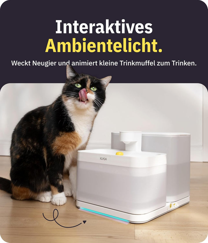 Klyqa Welly Weisser Premium Trinkbrunnen für Katzen&amp;kleine Hunde I Frisch- &amp; Schmutzwasser getrennt