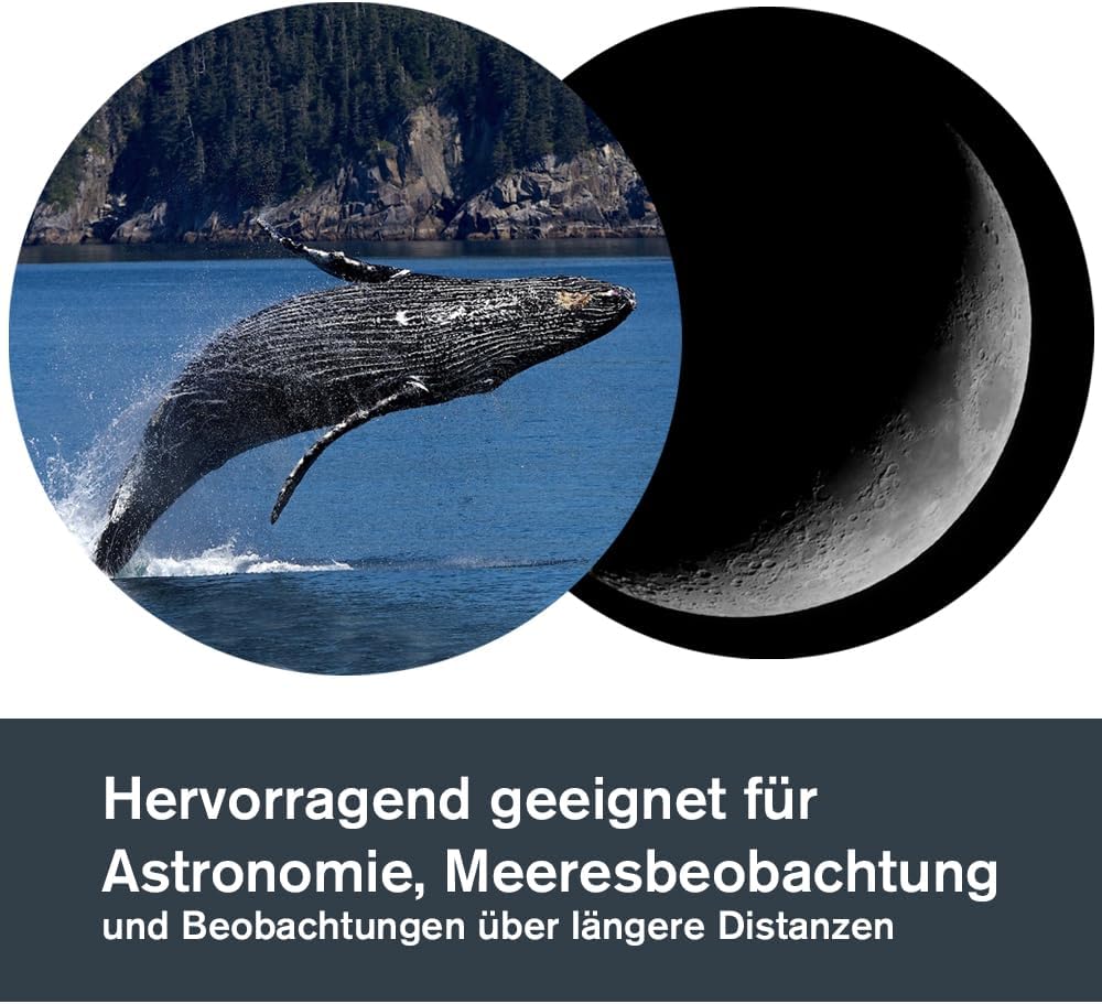 Celestron 71017 SkyMaster 25 x 100 mm Porroprismen-Fernglas mit mehrfach vergütete Linse, BaK-4 Pris