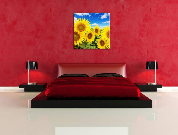 Pixxprint Sonnenblumenwiese unter blauem Himmel, Format: 70x70 auf Leinwand, 70x70