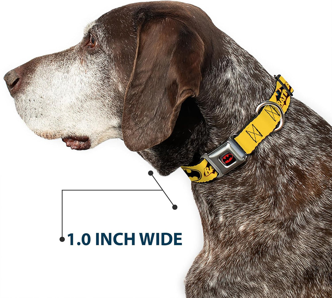 Buckle-Down BMC Batman schwarz/gelb Hund Halsband L - Fits 15-26" - 1.0" Wide, L - Fits 15-26" - 1.0