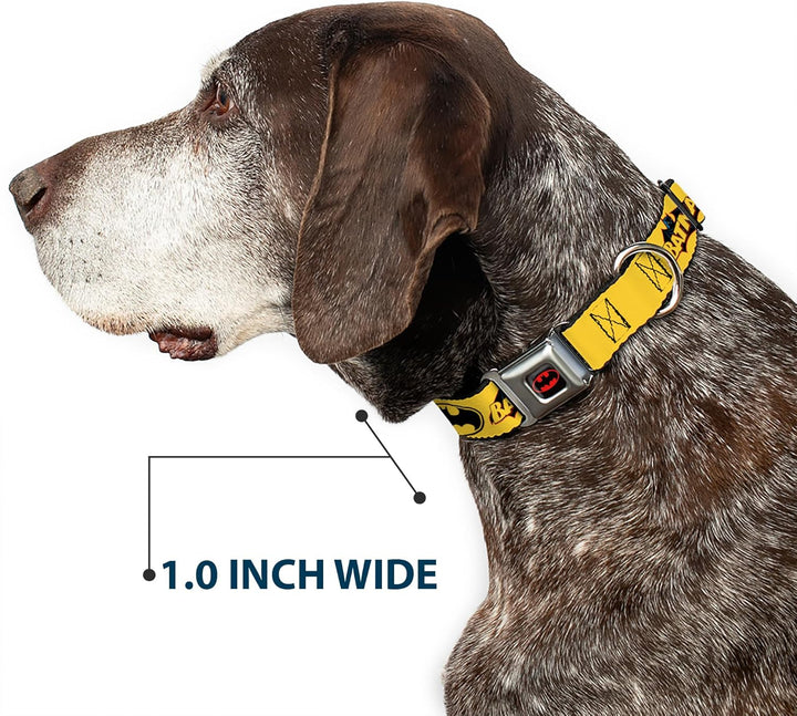 Buckle-Down BMC Batman schwarz/gelb Hund Halsband L - Fits 15-26" - 1.0" Wide, L - Fits 15-26" - 1.0