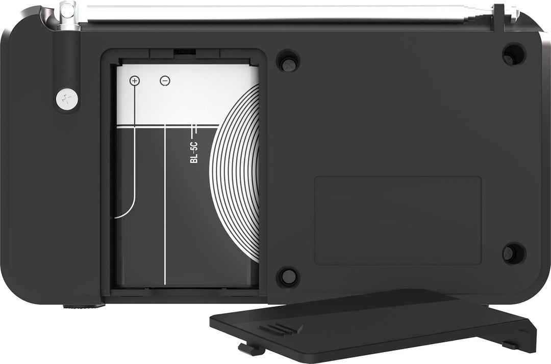 TELESTAR TOP 100 – Mobiles DAB+/UKW Radio (austauschbarer Akku, bis zu 15 Std. Spielzeit, kurzes Lad