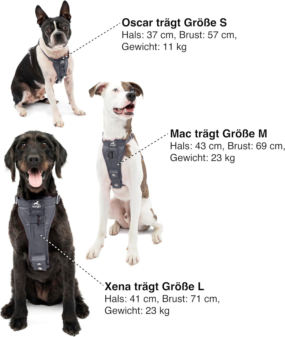 Kurgo Tru-Fit Hundegeschirr, Crash-Test-erprobtes Auto-Sicherheitsgurt, Für Hunde von 2 bis 5 kg, Gr