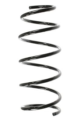 SPIDAN 49790 Fahrwerksfeder