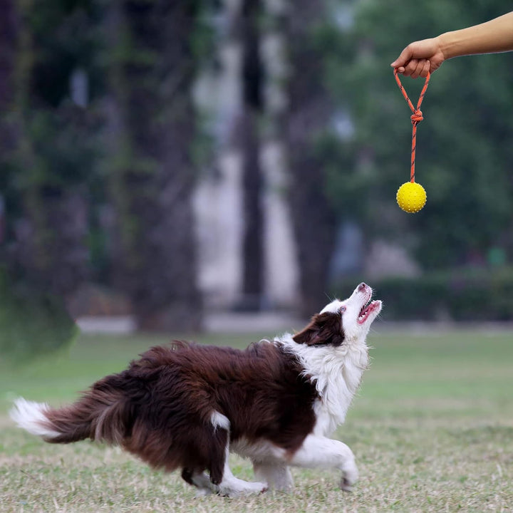 2Pcs Ball am Seil für Hunde und Katzen，trainingsball mit Seil,Hohlkugel aus Naturgummi Für Apportier