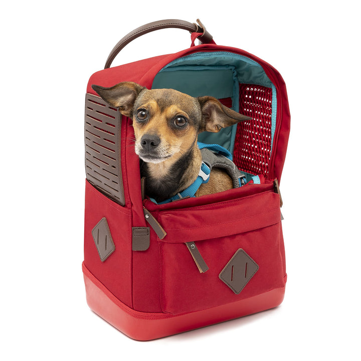 Kurgo Nomad Carrier Rucksack - Flugzeugtaugliche Hundetasche - Leichter Rucksack für Haustiere mit w