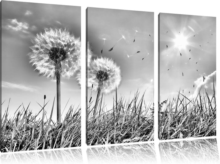 Pixxprint Pusteblumen auf Frühlingswiese als Leinwandbild/Grösse: 3 Teilig (120x80) cm/Wandbild/Kuns