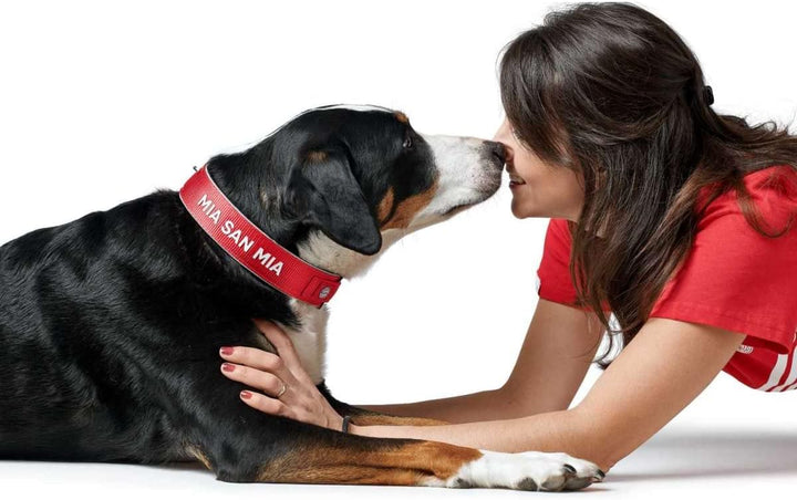 Hunter NEOPREN REFLECT FC Bayern München Hundehalsband, M-L (55), rot/grau Rot M-L (55), Rot M-L (55