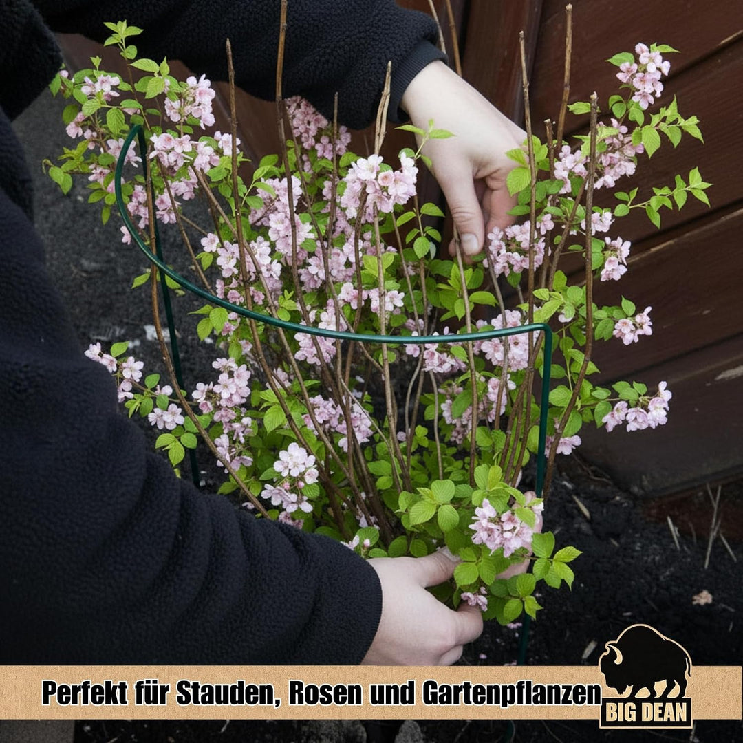 10x Strauchstüzen 70x40x15 Höhe Breite Bogen 6mm Dick