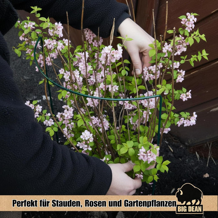 10x Strauchstüzen 70x40x15 Höhe Breite Bogen 6mm Dick