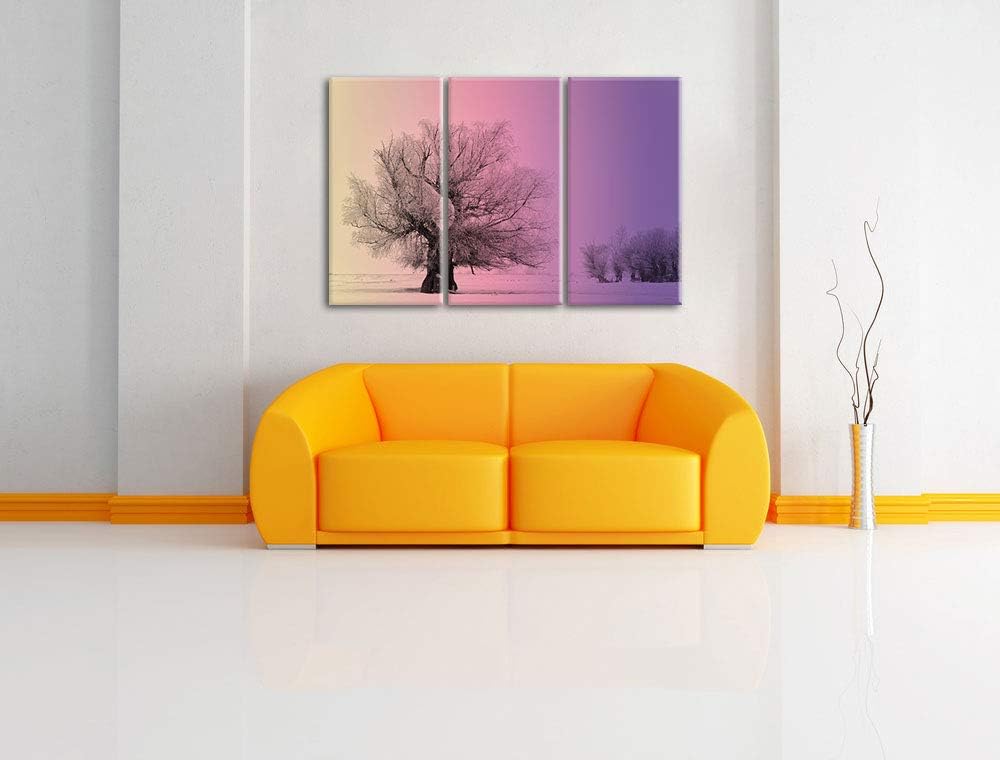 verschneite Bäume im Nebel schwarz/weiss 3-Teiler Leinwandbild 120x80 Bild auf Leinwand, XXL riesige