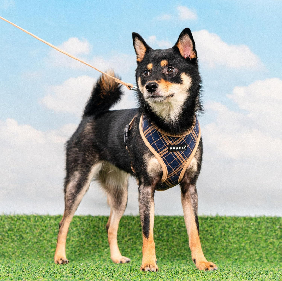 Puppia Corwin Hundegeschirr A (Over-The-Head), modisches Karomuster für Frühling und Sommer, kleine