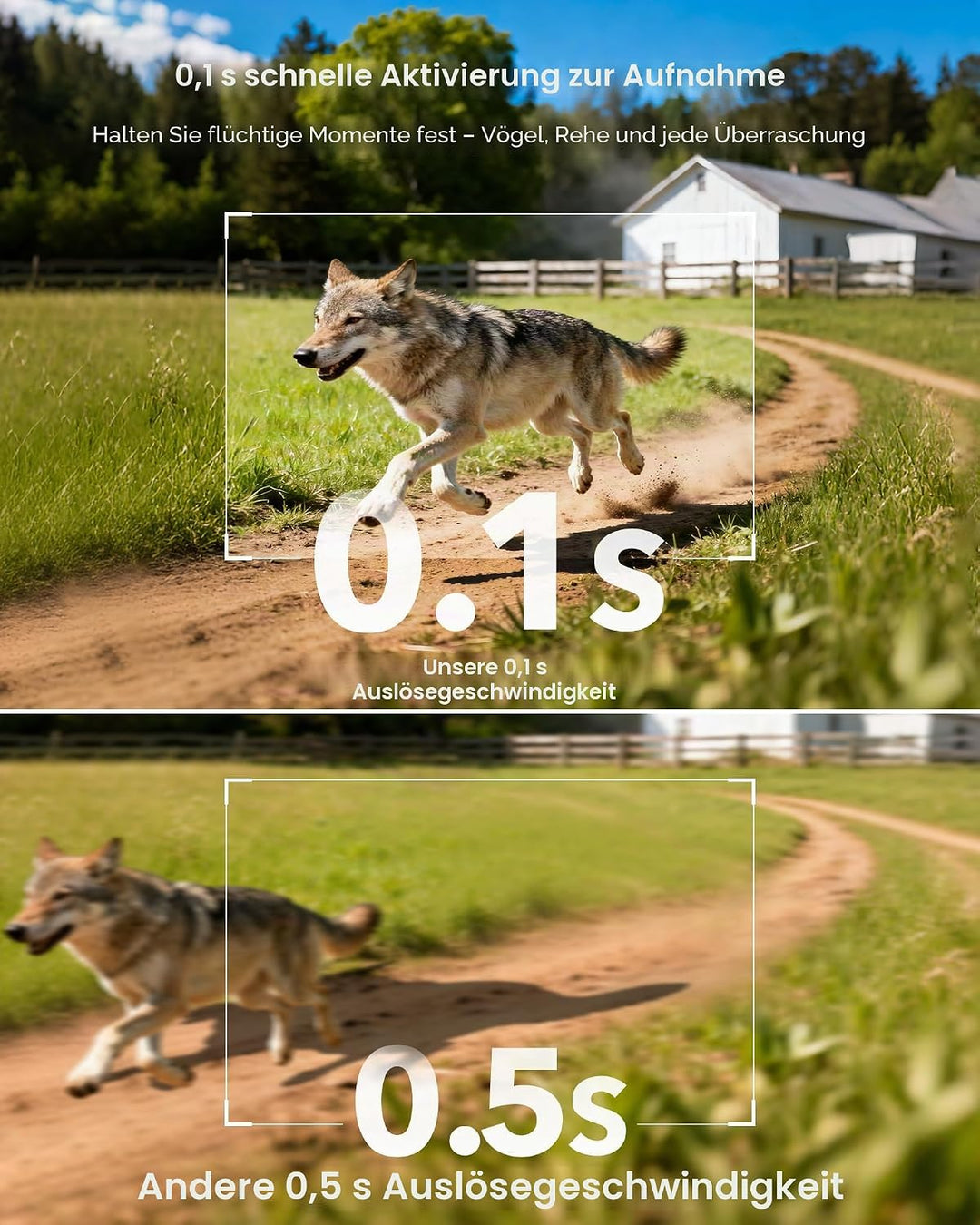 Misstech 4K UHD Solar Trail Kamera, Outdoor Wildkamera für Hofüberwachung, 0.1s Fast Motion Aktivier