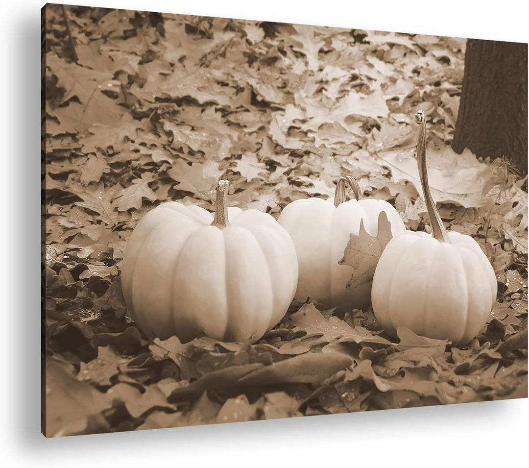 deyoli Herbstliche Kürbise Effekt: Sepia Format: 80x60 als Leinwandbild, Motiv fertig gerahmt auf Ec