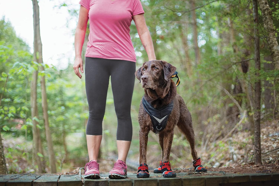 Kurgo Hundeschuhe Blaze Cross, Zum Schutz der Pfoten, Für jede Jahreszeit, Wasserdicht und reflektie