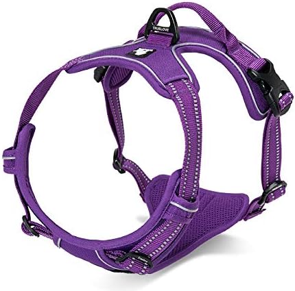 WINHYEPET Truelove Hundegeschirr No-Pull Reflektierendes verstellbar Haustiergeschirr mit 2 Leinencl