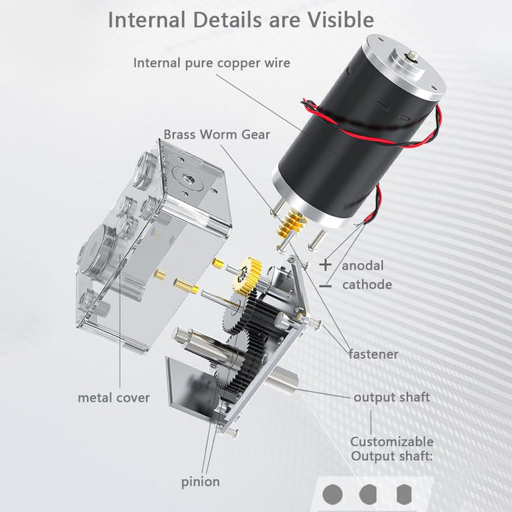 DEWIN Turbomotor mit hohem Drehmoment, umschaltbarer Schneckengetriebemotor, 8-mm-Welle, 12 V, 30 U/