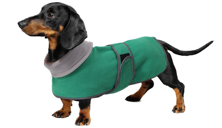 Geyecete -Gemütlich Polarfleece Winter hundemantel fur Dackel,Miniatur Dackel Fleece hundepullover,H