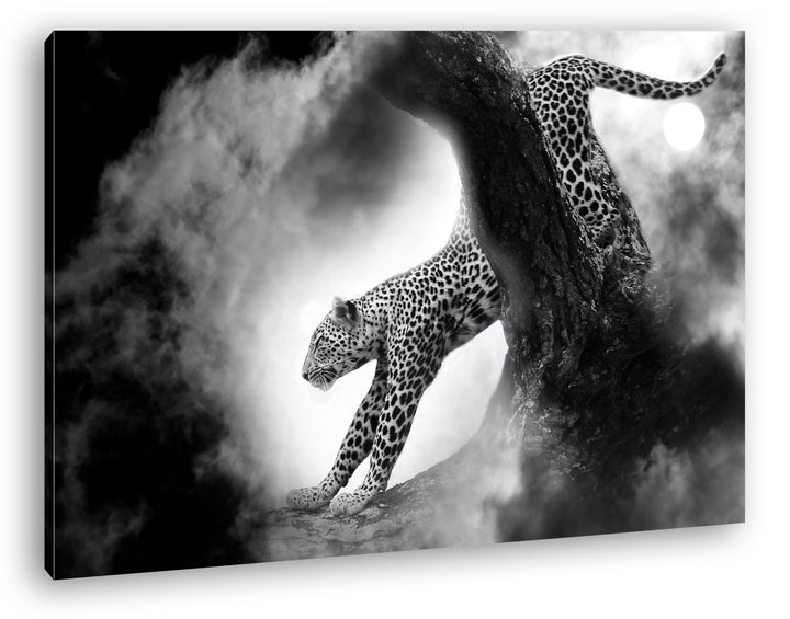 deyoli exotischer Gepard im Mondschein im Format: 80x60 als Leinwandbild, Motiv fertig gerahmt auf E