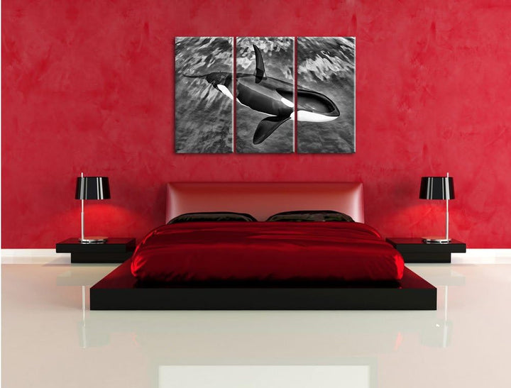 Pixxprint Monocrome, Orca im blauen Meer 3-Teiler Leinwandbild 120x80 Bild auf Leinwand