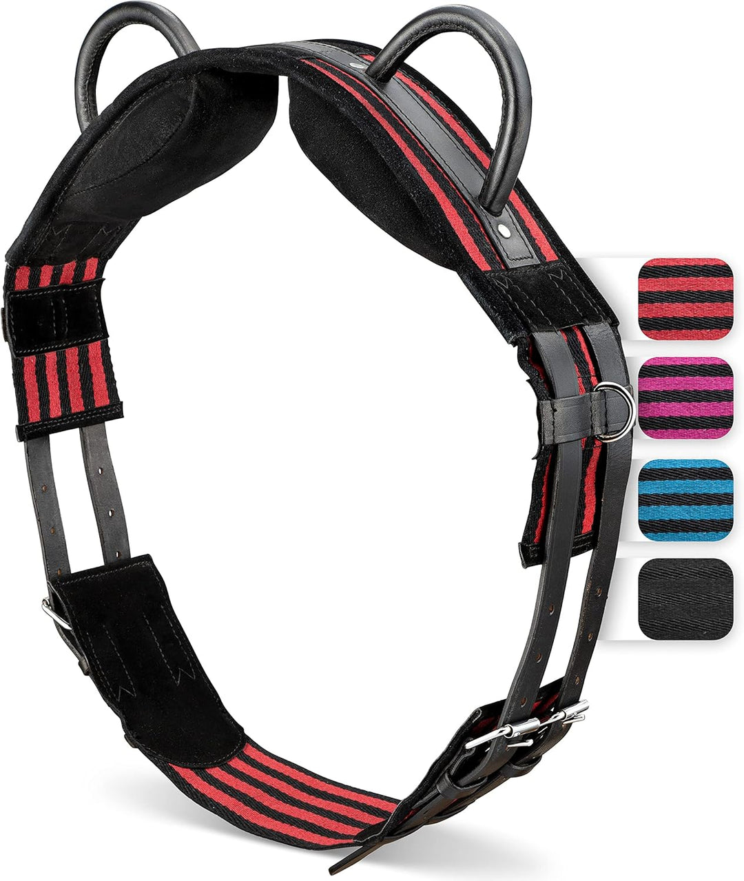 Esposita Reitgurt mit 2 Griffen aus Leder zum Festhalten für Kinder und Reitanfänger - auch geeignet