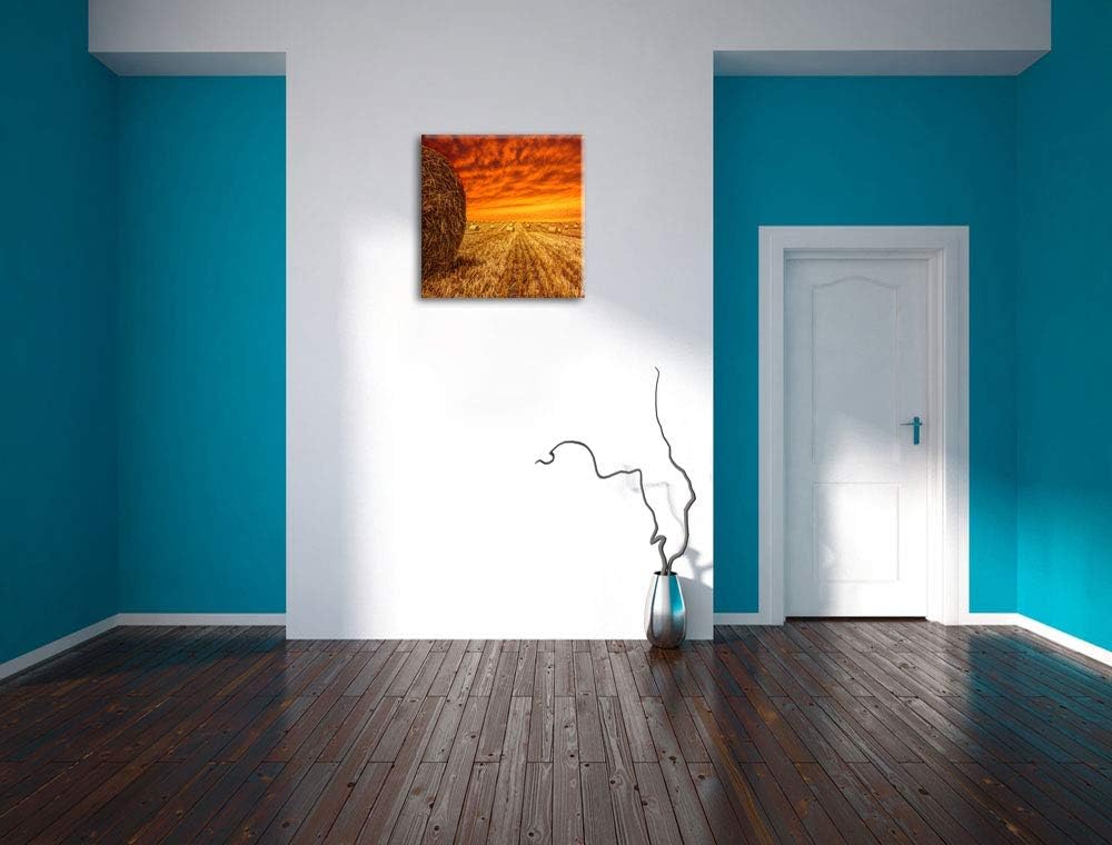 Feld im Sonnenuntergang, Format: 70x70 auf Leinwand, XXL riesige Bilder fertig gerahmt mit Keilrahme