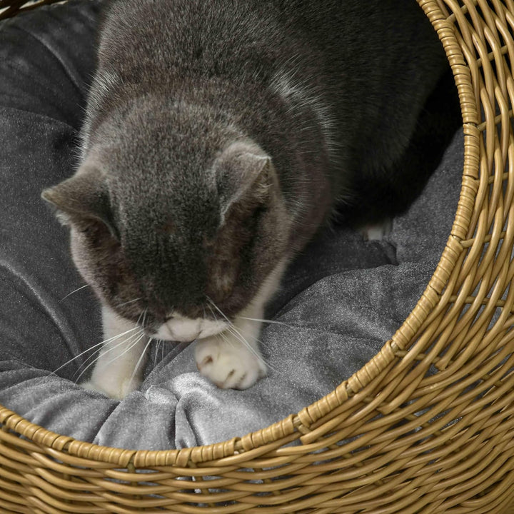 PawHut Rattan Katzenkorb Katzenhaus Katzenhütte mit Kissen für Katzen bis 4 kg, Haustierbett Katzenh