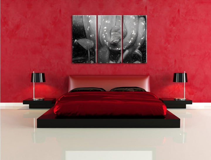 Pixxprint grüne Schlange als Leinwandbild/Grösse: 3 Teilig (120x80) cm/Wandbild/Kunstdruck/fertig be