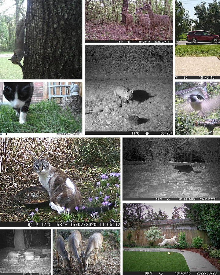 usogood Jagdkamera, Nachtsicht 36 Megapixel 4k HD Jagdkamera, IR Nachtsicht Tierfalle Kamera mit 8 w