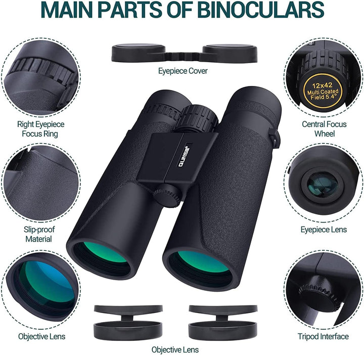 Fernglas 10x42 Kompaktfernglas für Vogelbeobachtung mit Mobiltelefonadapter für Vogelbeobachtung, Re