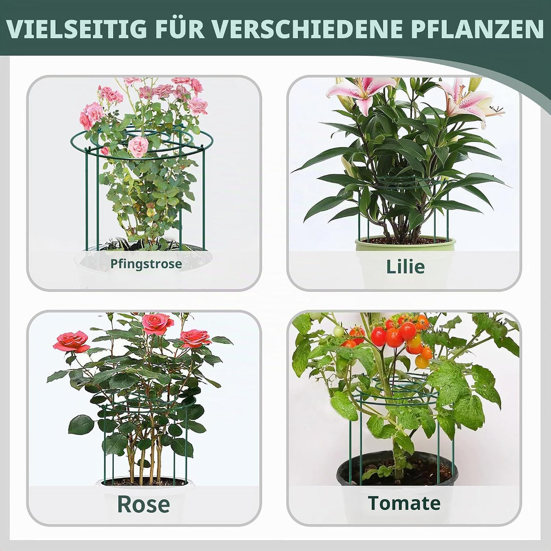 4 Stück Pfingstrosen Halterung/Pflanzringe Rund (30cm Ø x 60cm H) – Stabile Grüne Metall-Staudenhalt