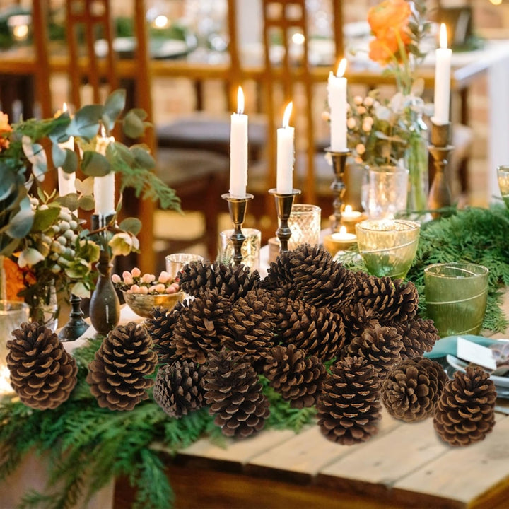 24 Stück Tannenzapfen Gross,11-14cm Kiefernzapfen,Zapfen zum Basteln für Weihnachtsbaum,Weihnachten,