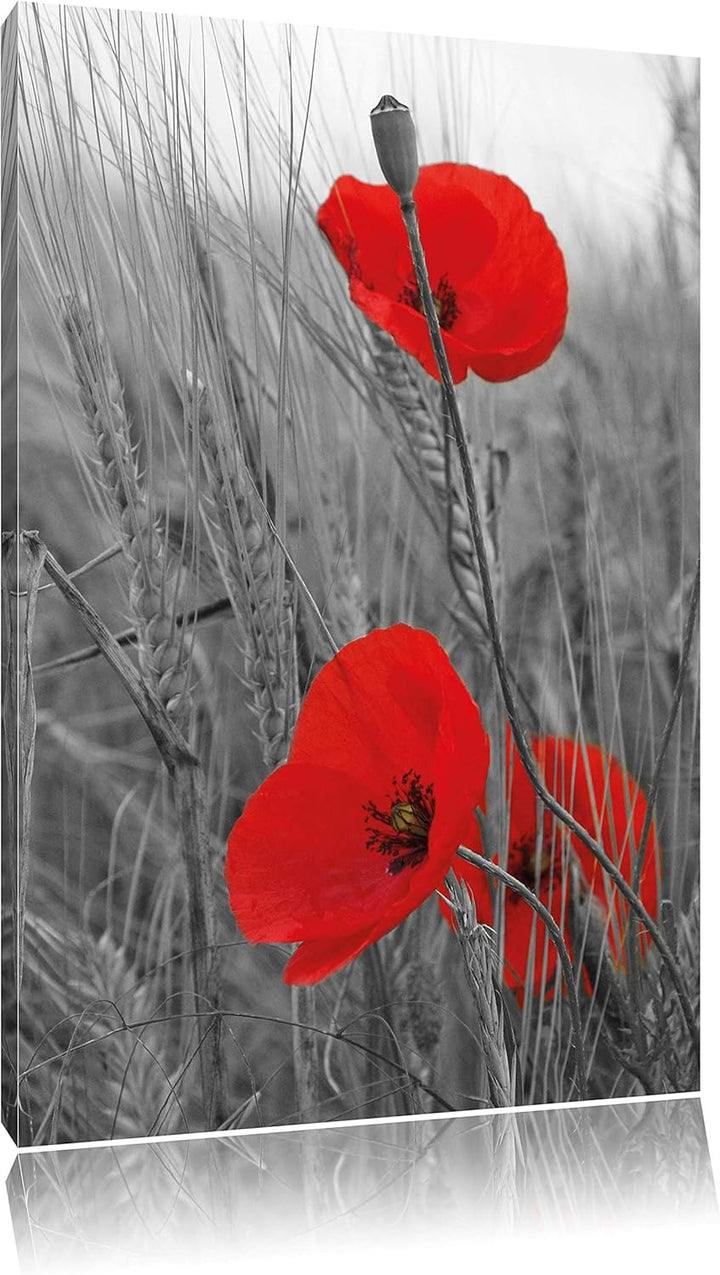 Pixxprint einzelne Mohnblumen im Getreidefeld schwarz/weiss als Leinwandbild/Grösse: 100x70 cm/Wandb
