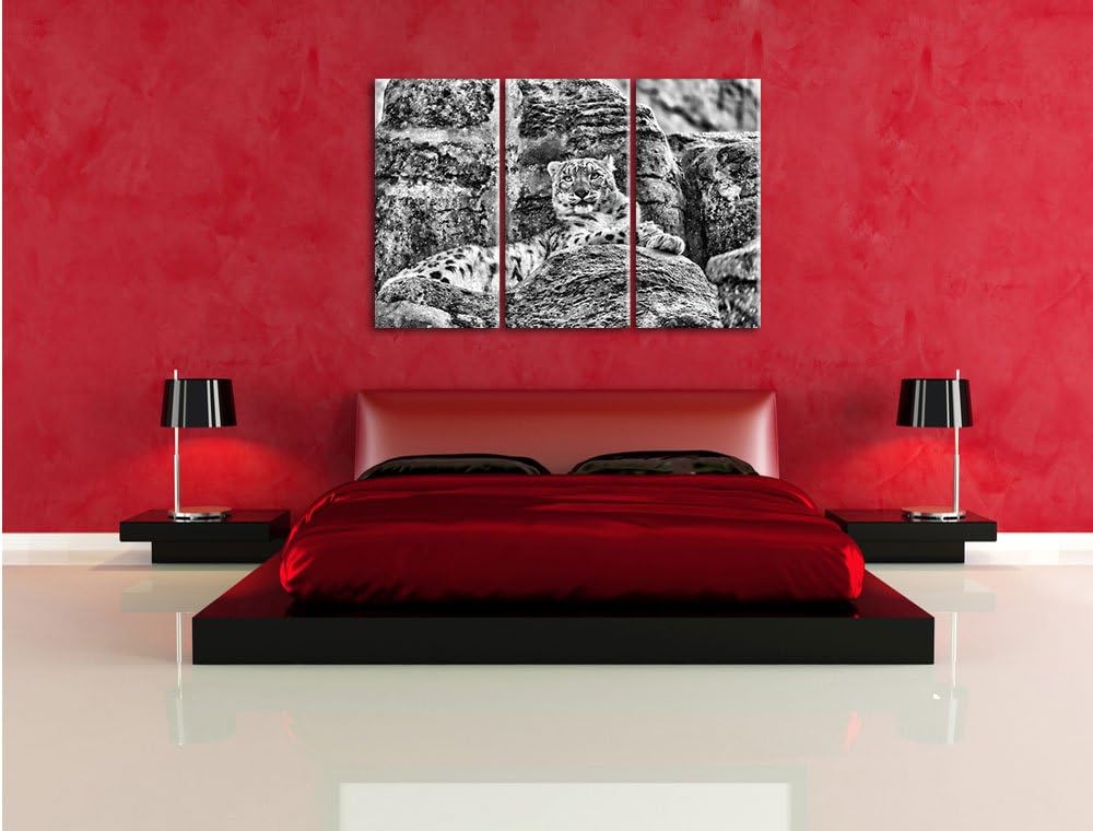 Pixxprint Schneeleopard auf Stein als Leinwandbild/Grösse: 3 Teilig (120x80) cm/Wandbild/Kunstdruck/