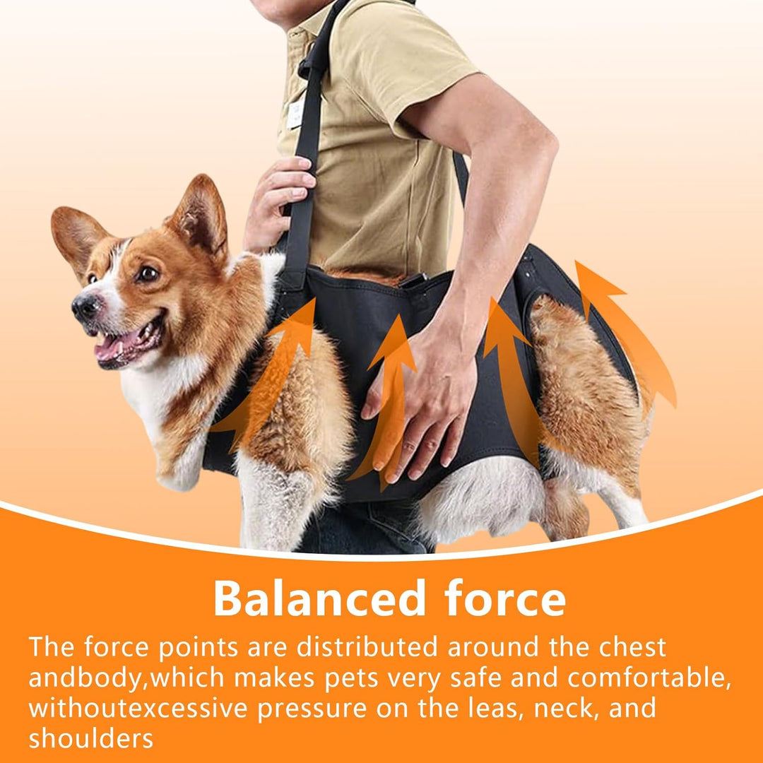 YOUNGSAY Tragehilfe Hund, Verstellbare Tragegurt Hund, Gross Hunde Tragehilfe für Behinderte, Blindh